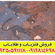 نماد پلنگ در دفینه یابی