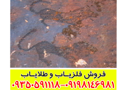 نماد پلنگ در دفینه یابی