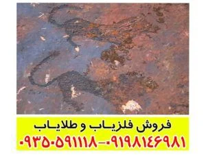 نماد پلنگ در دفینه یابی