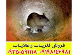 نماد موش در دفینه یابی