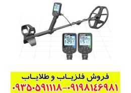 فلزیاب نقطه زن اسکور