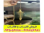 شاقول فنری ایکس 4