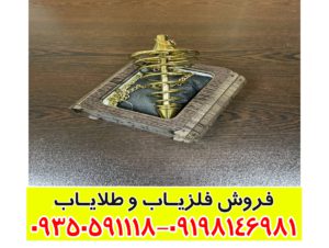 شاقول فنری ایکس 4