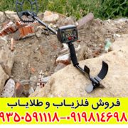 فلزیاب تصویری دامینیتور پرو
