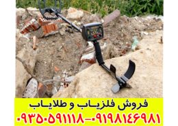 فلزیاب تصویری دامینیتور پرو