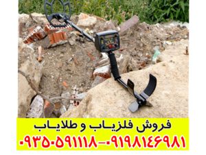 فلزیاب تصویری دامینیتور پرو