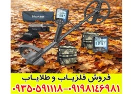 فلزیاب دابل اسکور