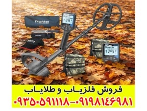 فلزیاب دابل اسکور