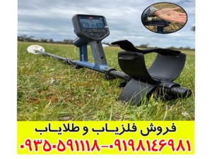 فلزیاب گلد مانستر 2000