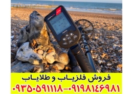 فلزیاب سیمپلکس اولترا