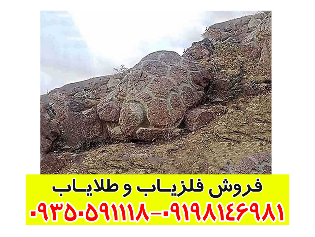 نماد لاکپشت در دفینهیابی: راهنمای جامع نشانهها، رمزگشایی و اصول میدانی